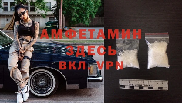 гашик Новозыбков