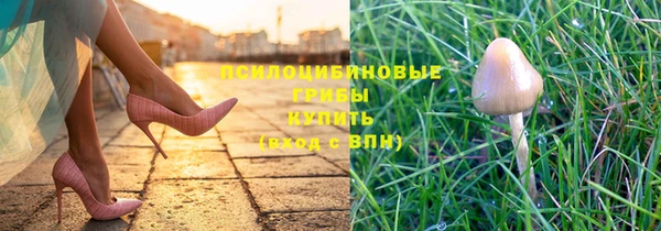 гашик Новозыбков