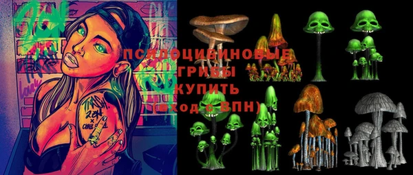 бошки Нея