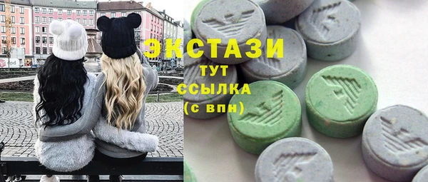 гашик Новозыбков