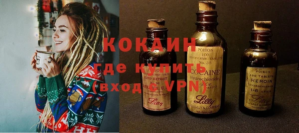 гашик Новозыбков