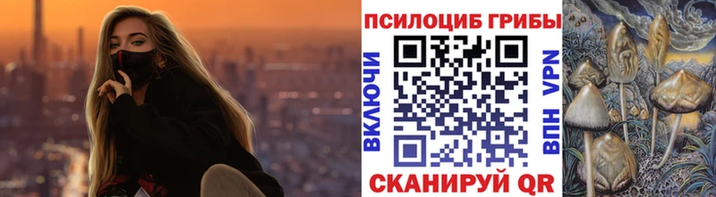 Галлюциногенные грибы Psilocybe  Собинка 